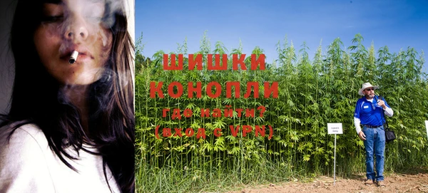 дмт Краснослободск