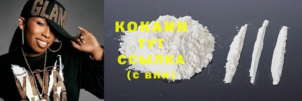 дмт Краснослободск