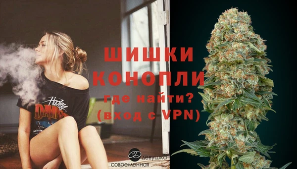 дмт Краснослободск
