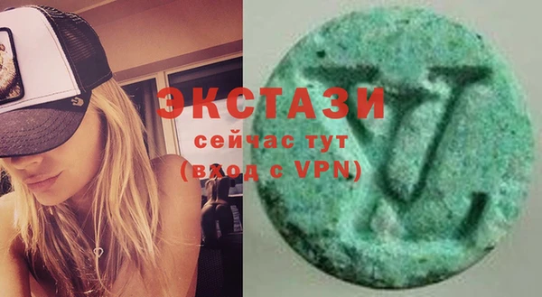 дмт Краснослободск